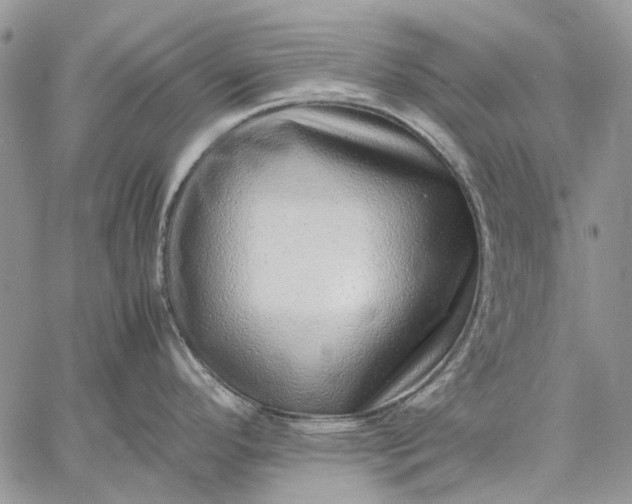 X0000059091296200510211557