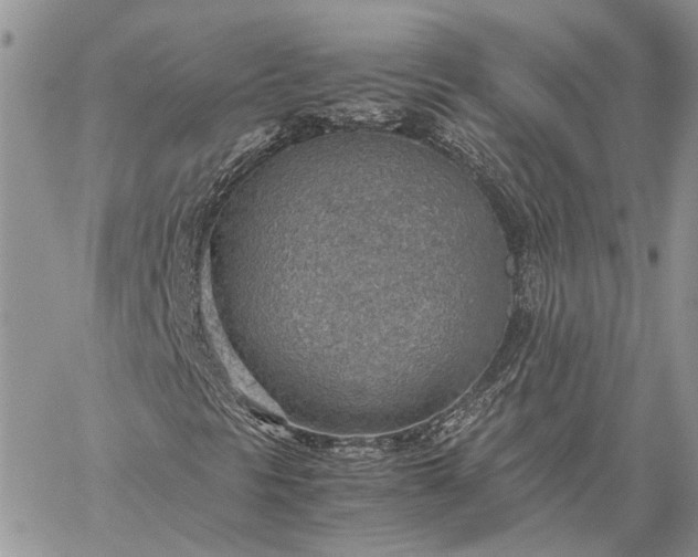 X0000059091297200510211557