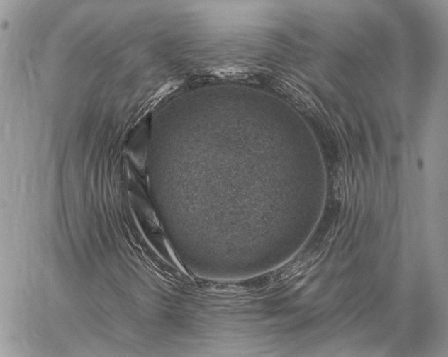 X0000059091298200510211557