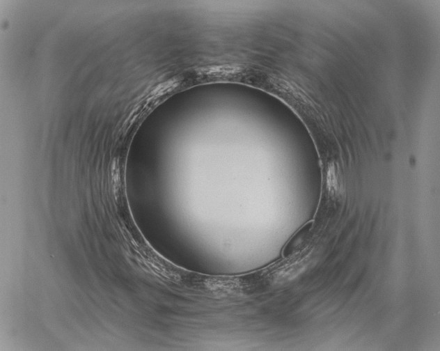 X0000059091299200510211557