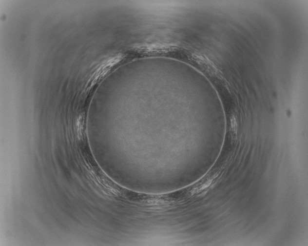 X0000059091300200510211557