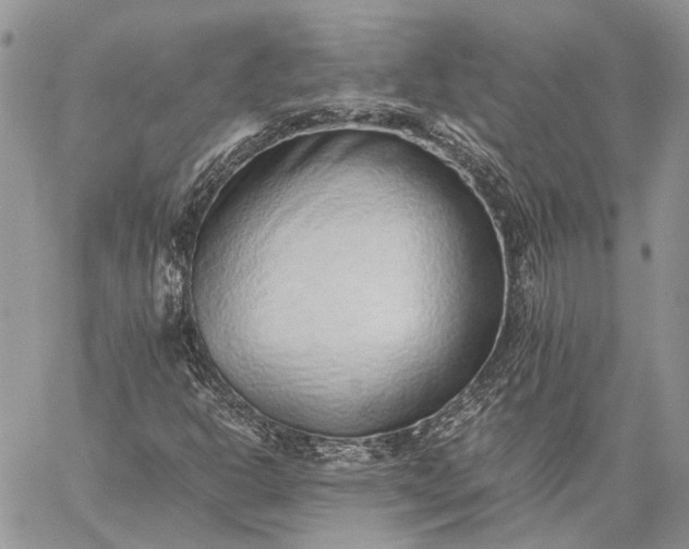 X0000059091302200510211557