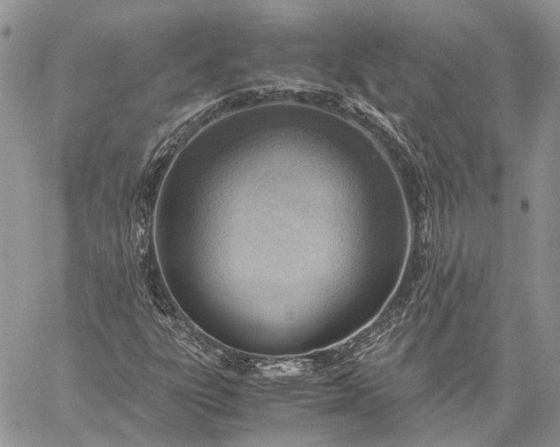 X0000059091303200510211557