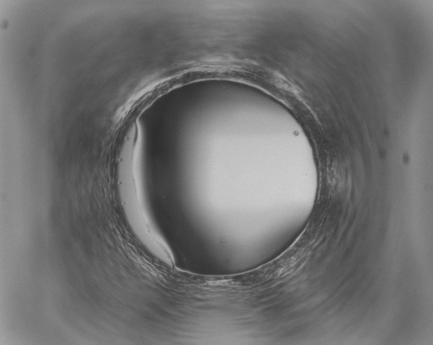 X0000059091304200510211557