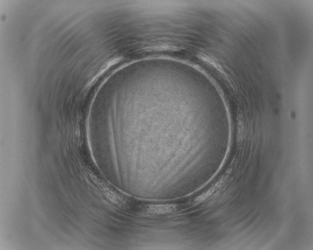 X0000059091305200510211557