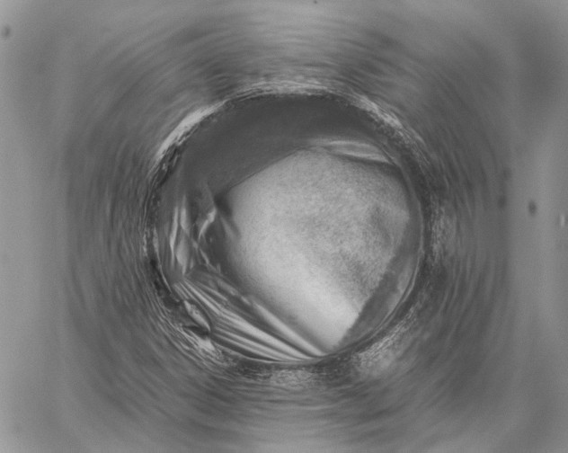 X0000059091306200510211557