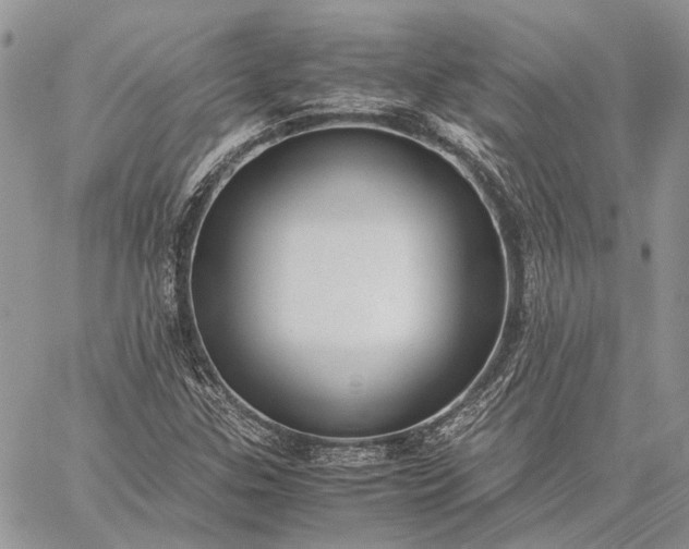 X0000059091307200510211557