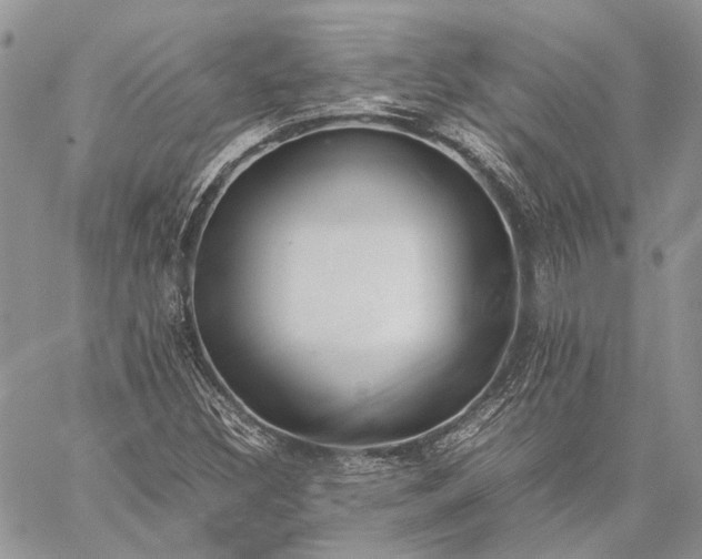 X0000059091308200510211557