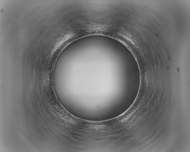 X0000059091309200510211557