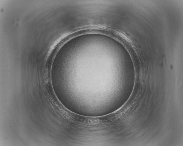 X0000059091310200510211557