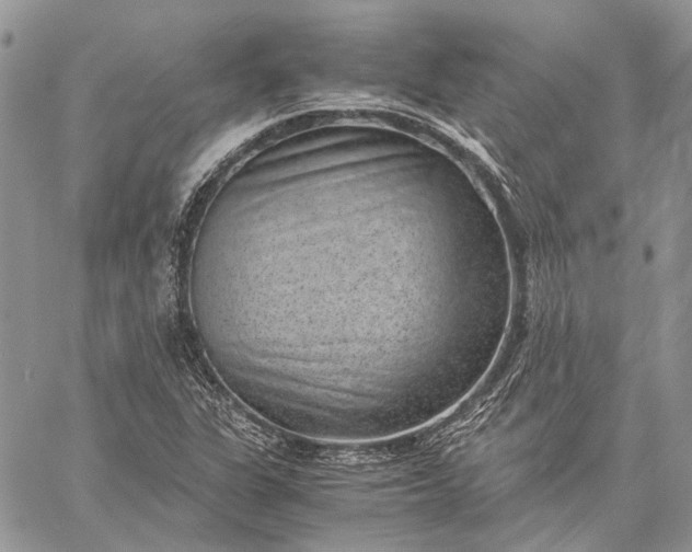 X0000059091311200510211557