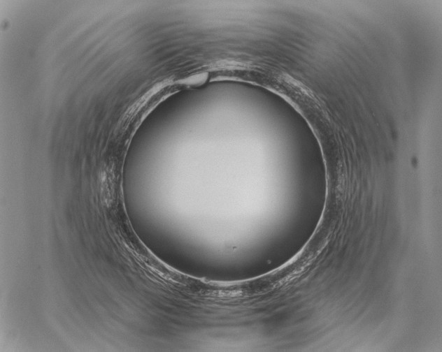 X0000059091313200510211557