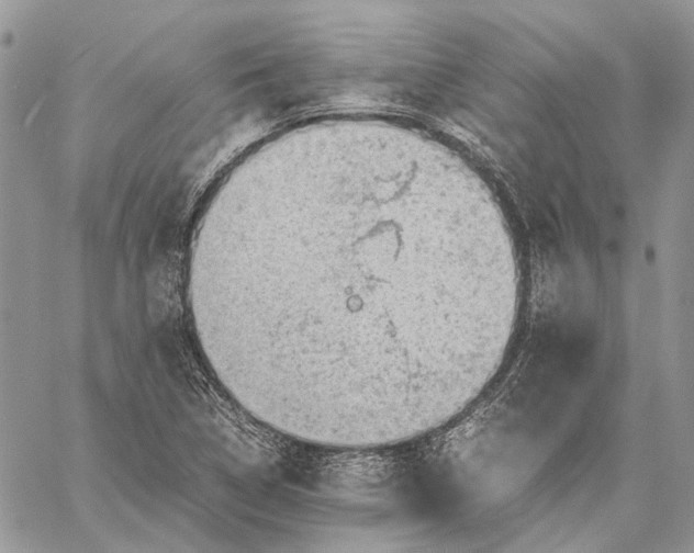 X0000059091314200510211557