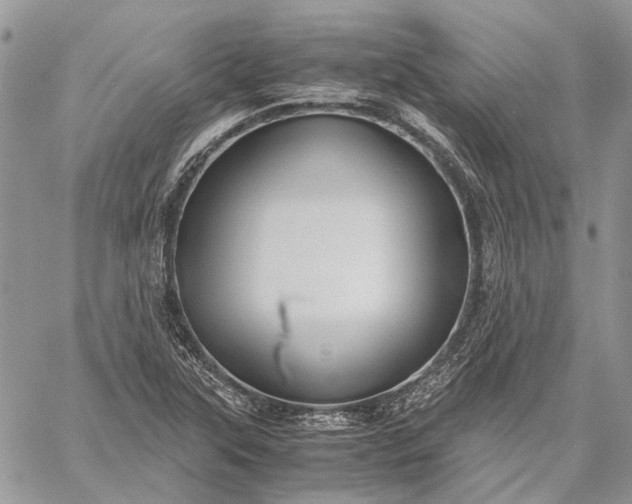 X0000059091315200510211557