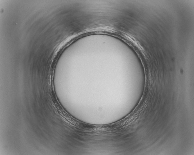 X0000059091316200510211557