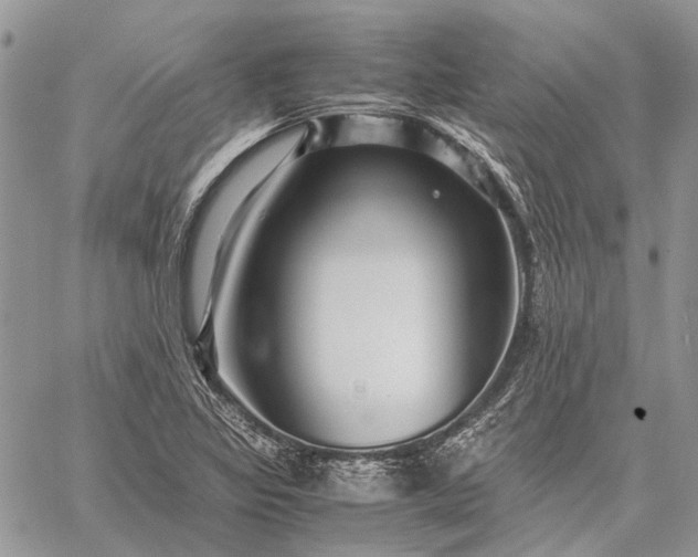 X0000059091317200510211557