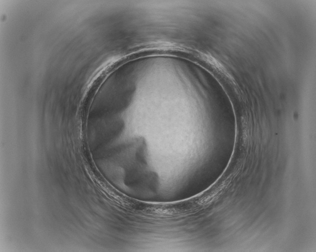 X0000059091318200510211557