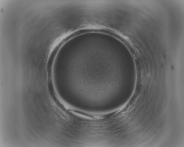 X0000059091319200510211557