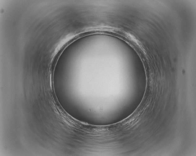 X0000059091320200510211557