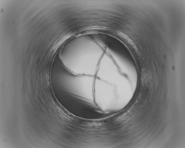 X0000059091321200510211557