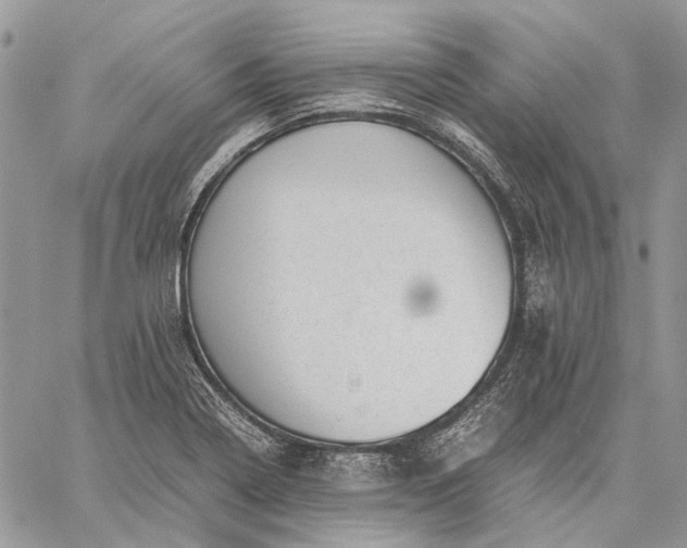 X0000059091322200510211557