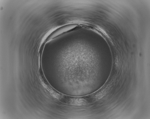 X0000059091323200510211557