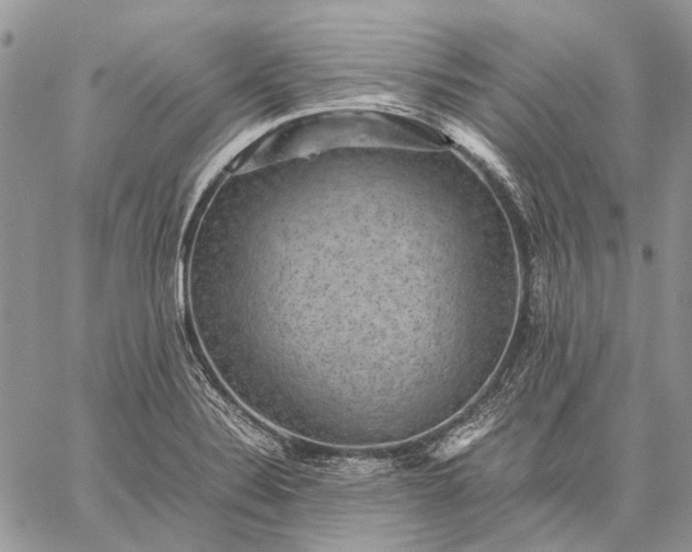 X0000059091324200510211557