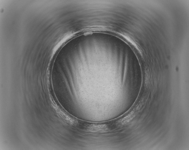 X0000059091325200510211557