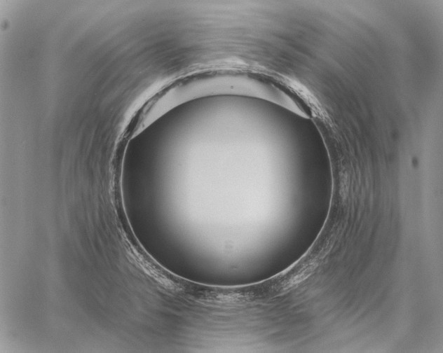 X0000059091326200510211557