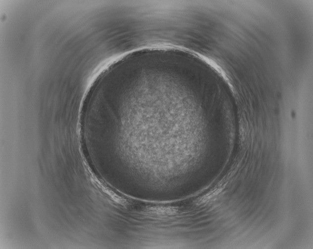 X0000059091327200510211557