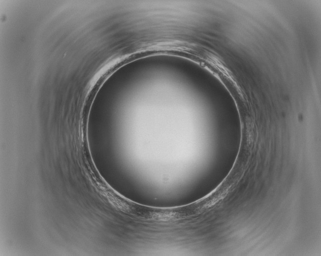 X0000059091328200510211557