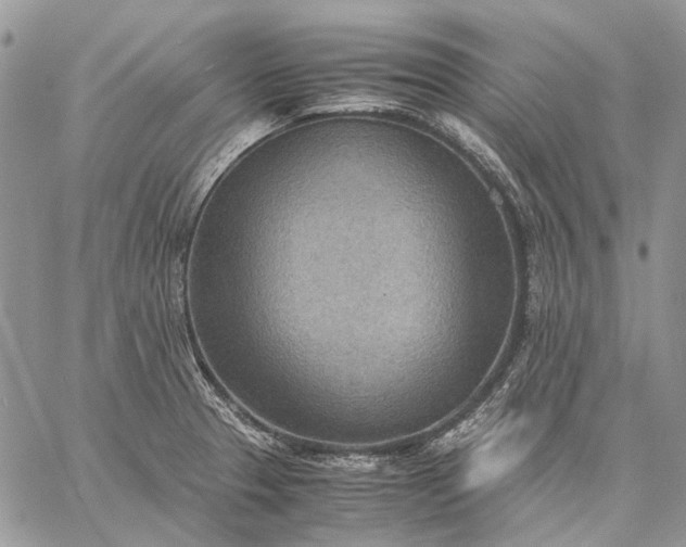 X0000059091329200510211557