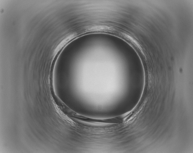 X0000059091330200510211557