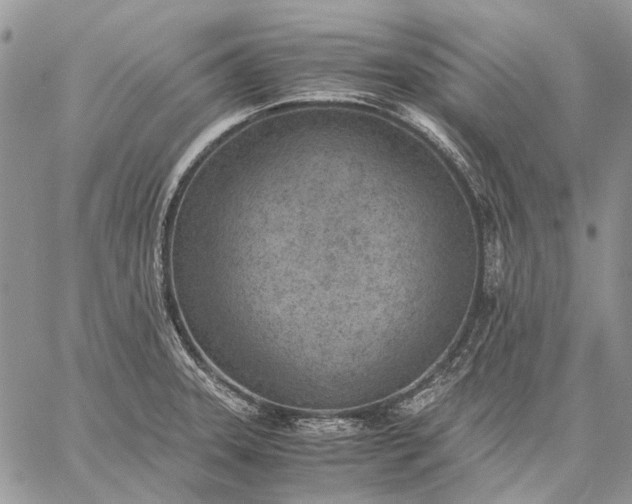 X0000059091331200510211557