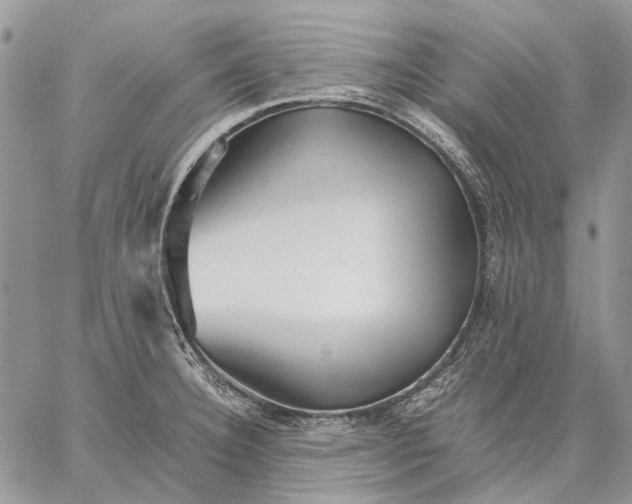 X0000059091332200510211557