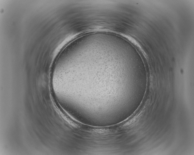 X0000059091333200510211557