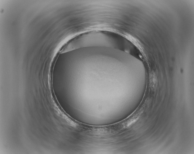 X0000059091334200510211557