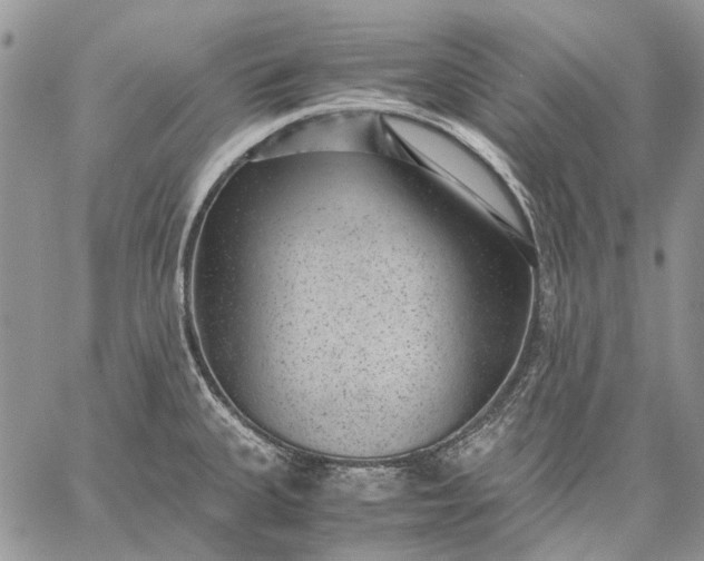 X0000059091335200510211557