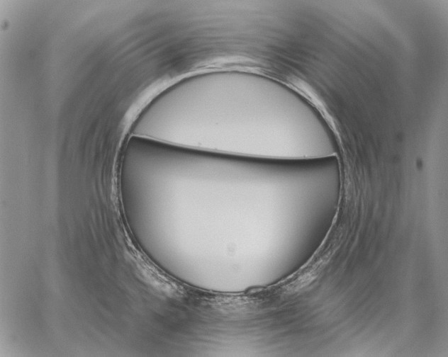 X0000059091336200510211557