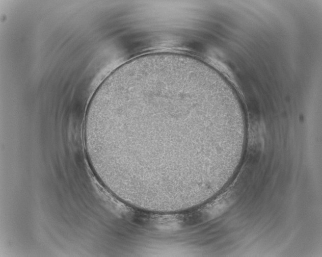 X0000059091338200510211557