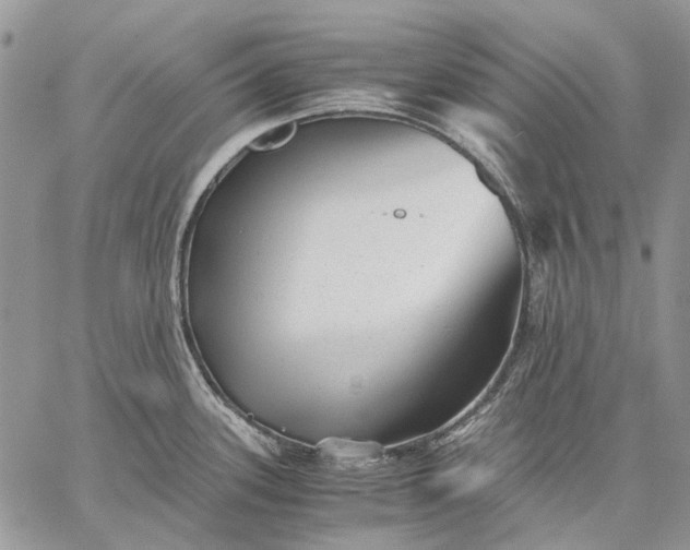 X0000059091339200510211557