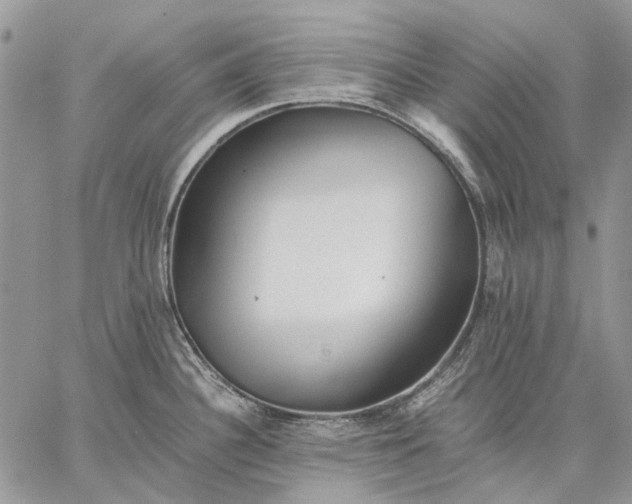 X0000059091340200510211557