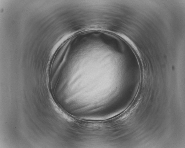 X0000059091341200510211557