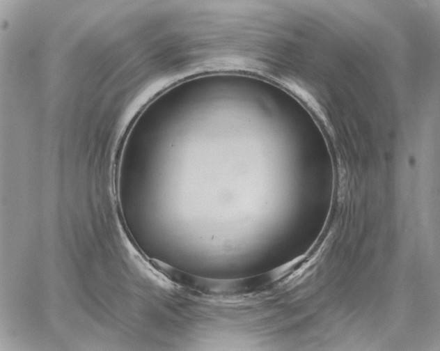 X0000059091342200510211557