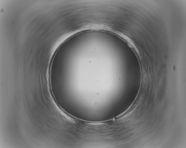 X0000059091343200510211557