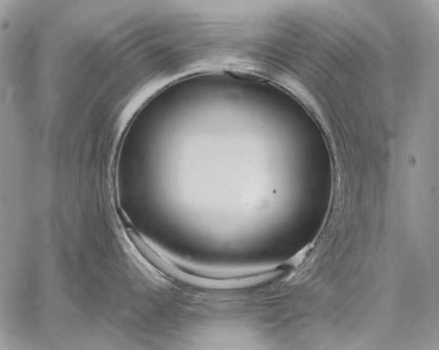 X0000059091344200510211557