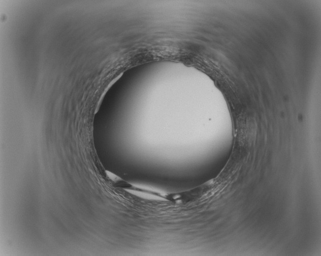 X0000059091345200510211557