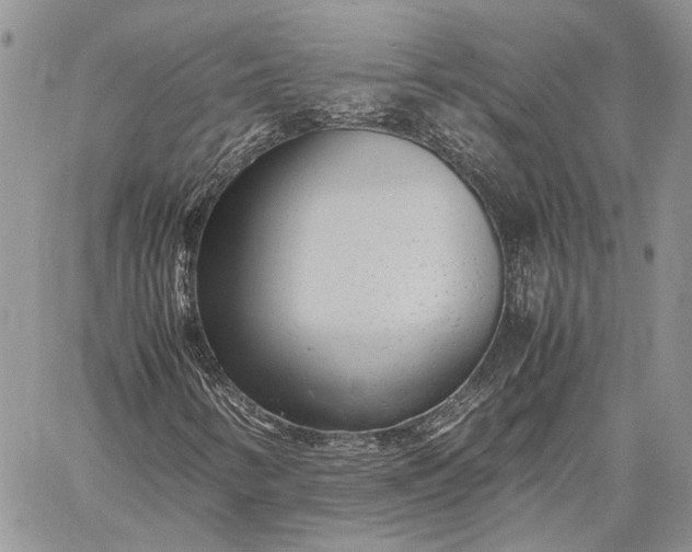 X0000059091346200510211557