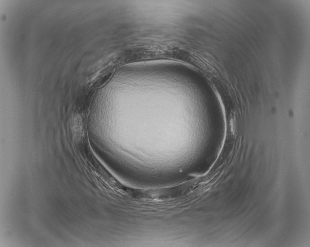 X0000059091347200510211557