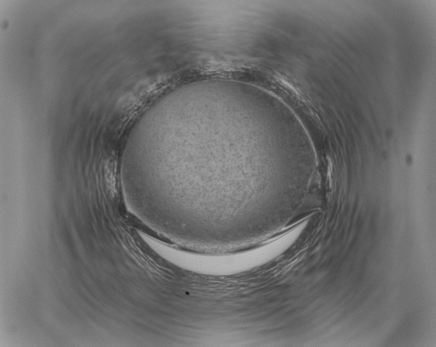 X0000059091348200510211557